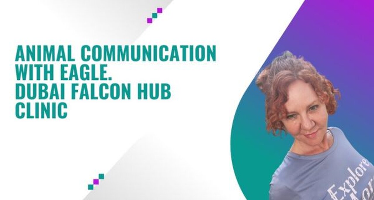 Animal Communication with Eagle. Dubai Falcon Hub Clinic