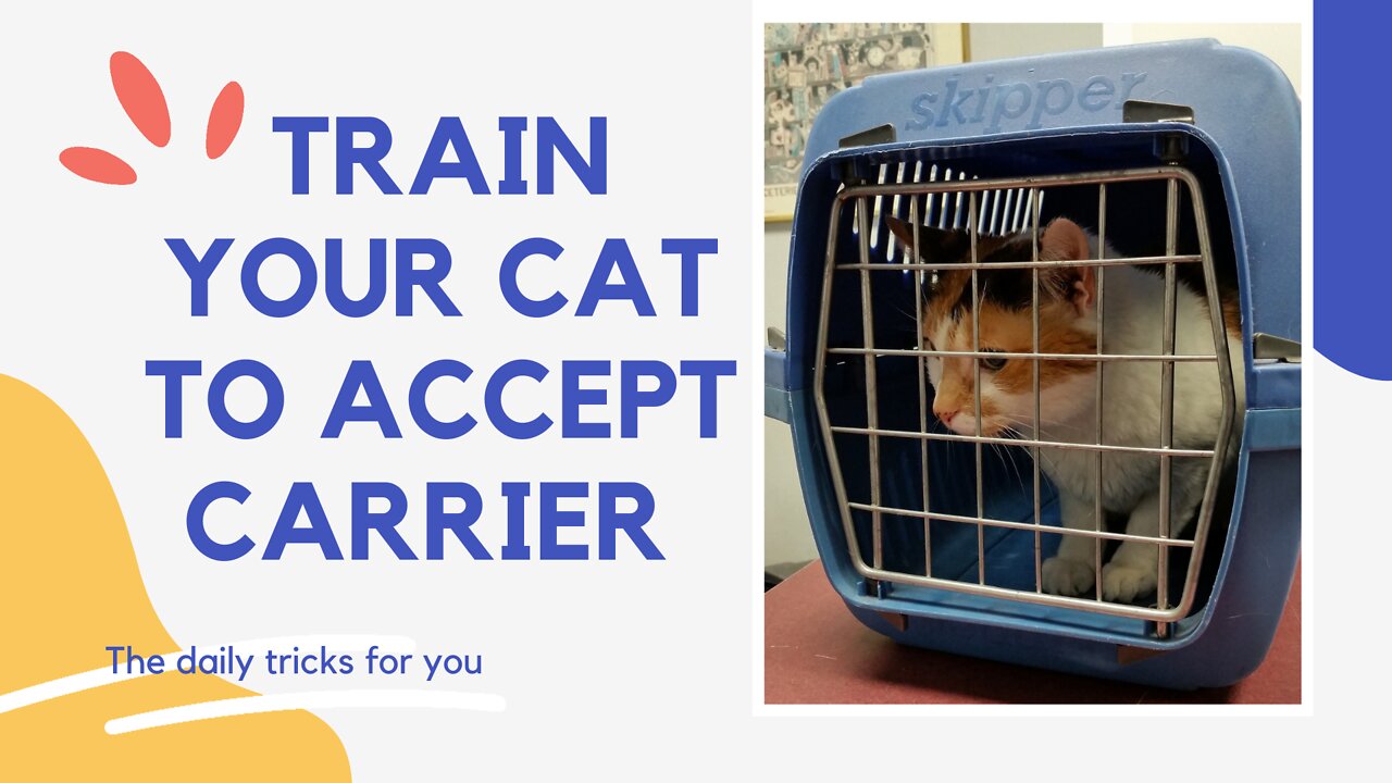 2 Minute Training to accept the carrier