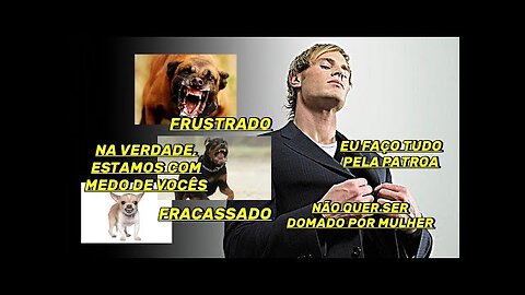 FIZ UM COMPILADO DOS MOTIVOS DE SERMOS ATACADOS! GUARDEM ESSE VÍDEO! ESTÃO COM MEDO!