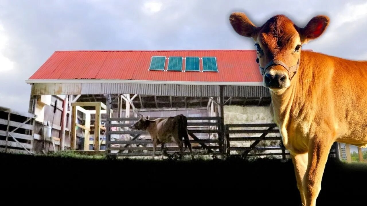 Our BIGGEST upgrade to the old Milk Barn