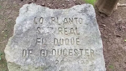 Lo Planto REX CARLOS DE ESPAN-A
