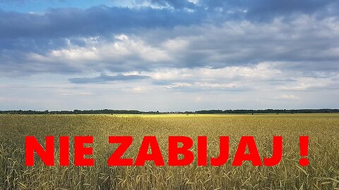 NACJONALIZM UKRAINSKI