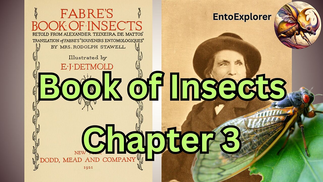 Book of Insects - Chapter 3 The Cicada by Jean-Henri Fabre