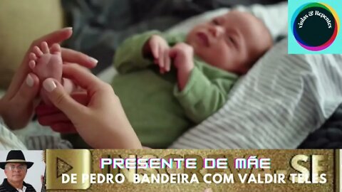 PRESENTE DE MÃE DE PEDRO BANDEIRA CANTA VALDIR TELES