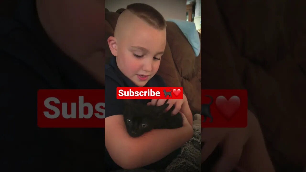 We Heard a TRAPPED Kitten Crying for Help! #shorts #viral #tiktok