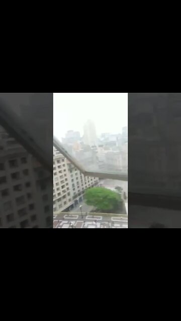 Toninho e as Pombas #shorts