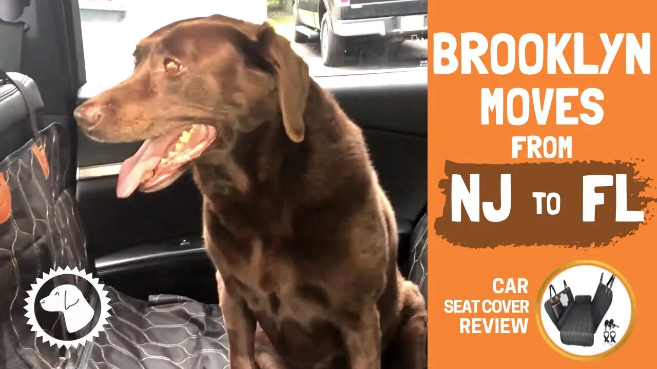 BROOKLYN MOVES from NJ to FL! 🐶 BONUS ► OKMEE CAR SEAT (Unboxing, Install, Review) #BrooklynsCorner