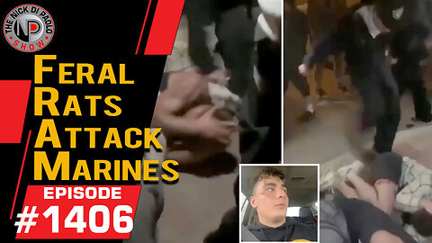 Feral Rats Attack Marines | Nick Di Paolo Show #1406