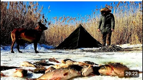 Ice Fishing -Crap Fishing in Frozen Lake winter Camping with my Dog #