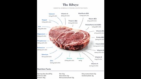 Carnivore Accountability Ep. 1