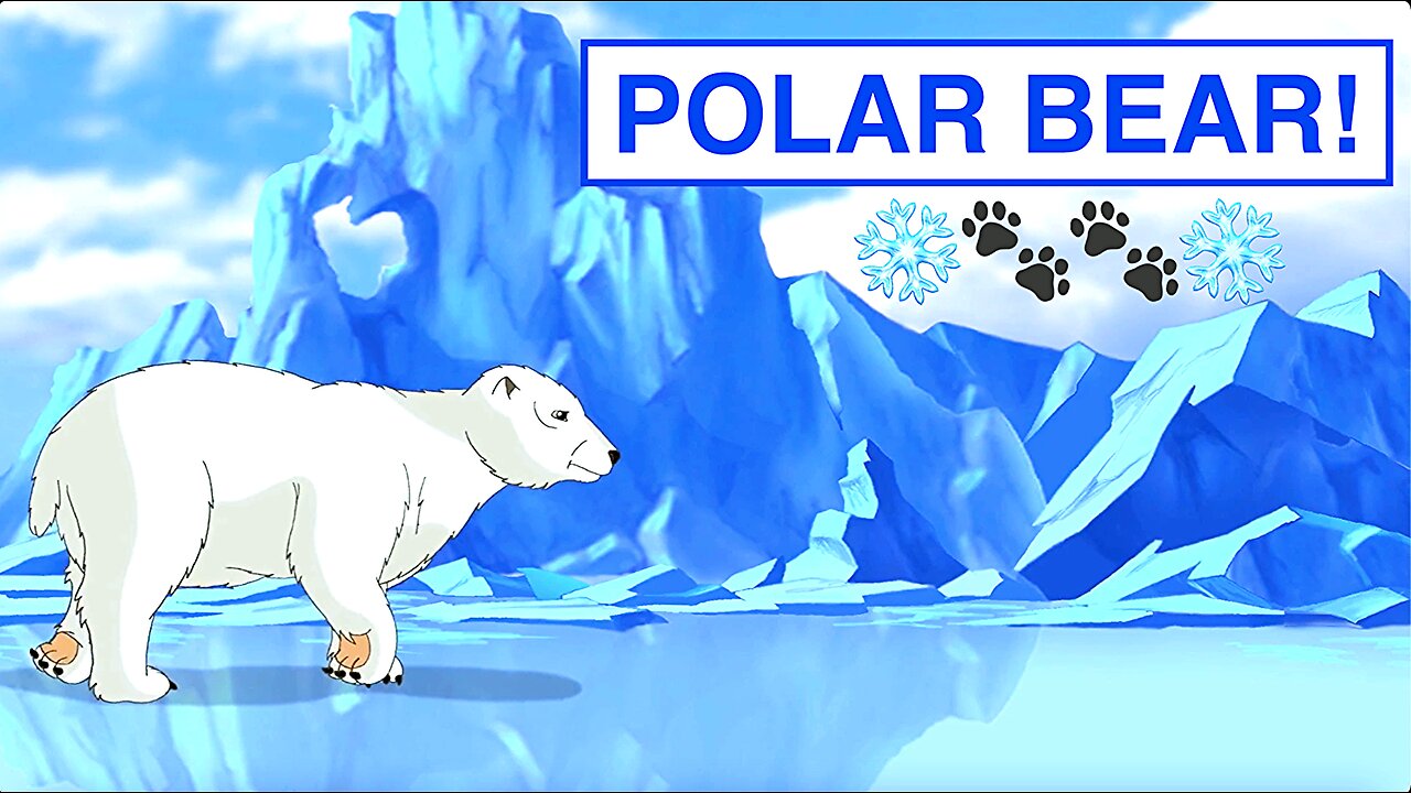 Polar Bear Cartoon - Kids Cartoon - Animal Cartoon - Children Cartoon - Learning Cartoon