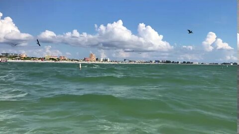 Meditation by the Sea - Treasure Island - Ocean Sounds - Birds