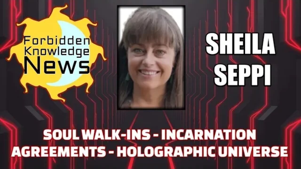 Soul Walk-Ins - Incarnation Agreements - Holographic Universe w/ Sheila Seppi