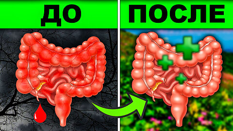 Секрет Успешного Лечения Язвенного Колита Оказался Проще, Чем Можно Было Представить!