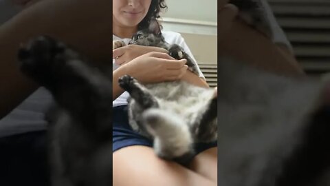 KUCING LUCU #PART 58