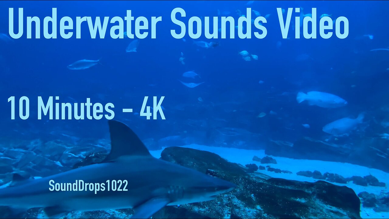 The Most Calm And Relaxing 10 Minutes Of Underwater Sounds Video