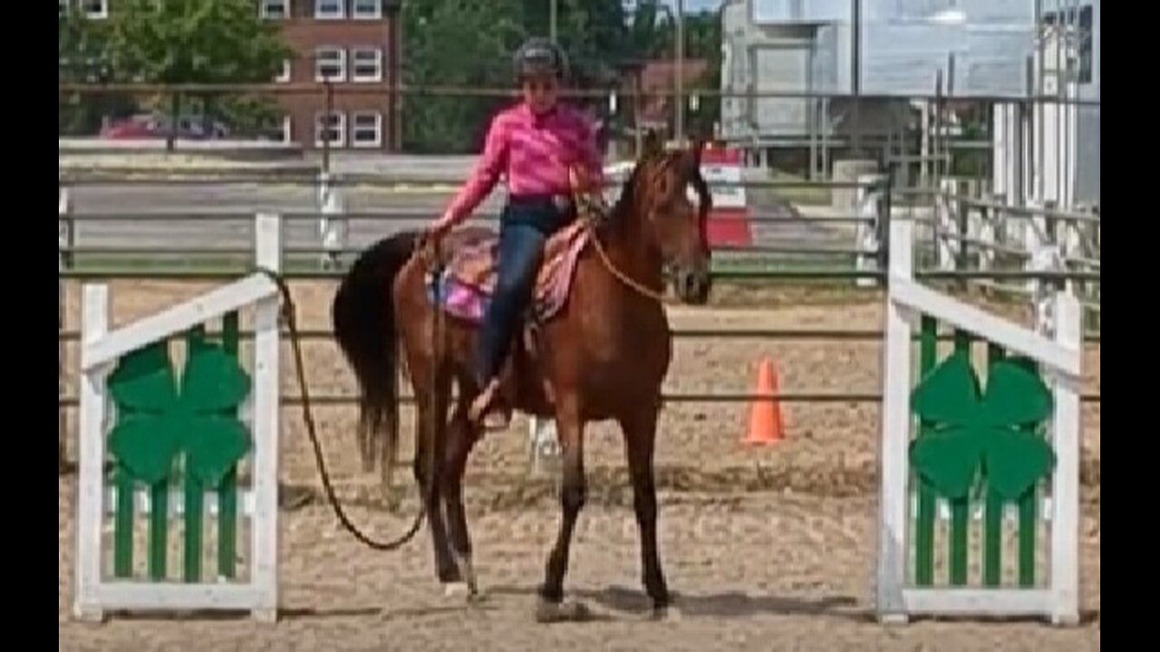 Nora on Lady - Trail Class - Lenawee County Fair 23 July 2024