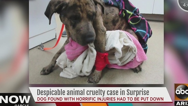 Police ask public to help find suspect who dragged dog behind car