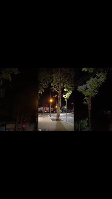 Street lights in Sydney