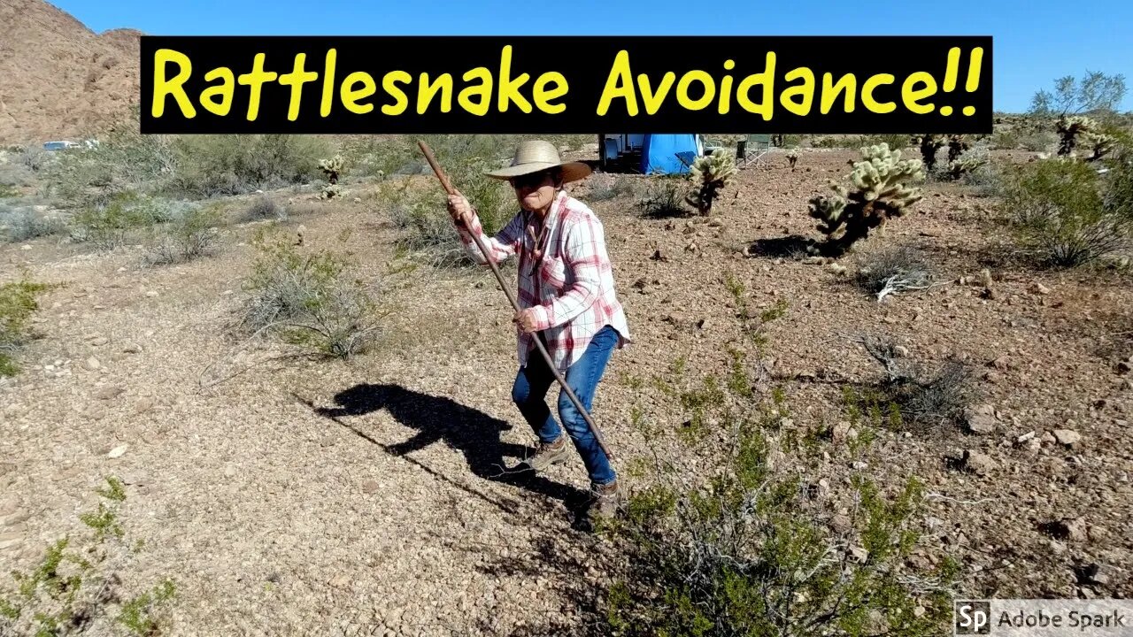 Rattlesnakes! How To Not Get Bit!