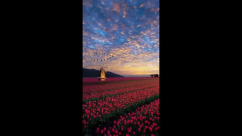 beautiful nature