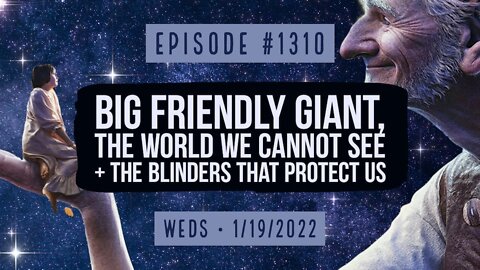 Owen Benjamin | #1310 Big Friendly Giant, The World We Cannot See & The Blinders That Protect Us