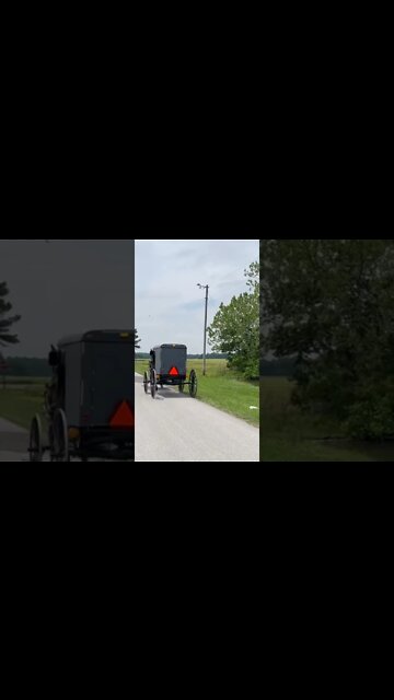 Amish buggy just down the street from my house￼