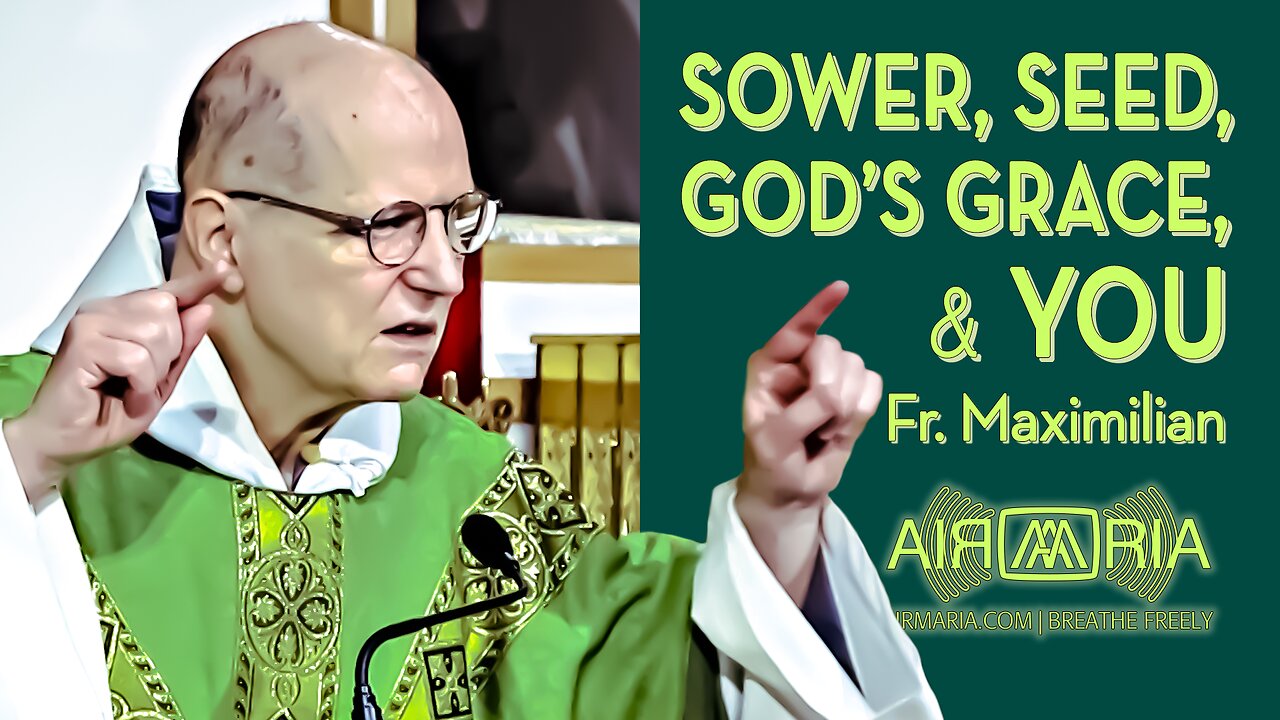 Jesus' Sower and Seed Parable Reveals Truth About God's Grace - July 16, 2023 - OLC Sunday Homily