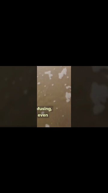 Dream interpretation