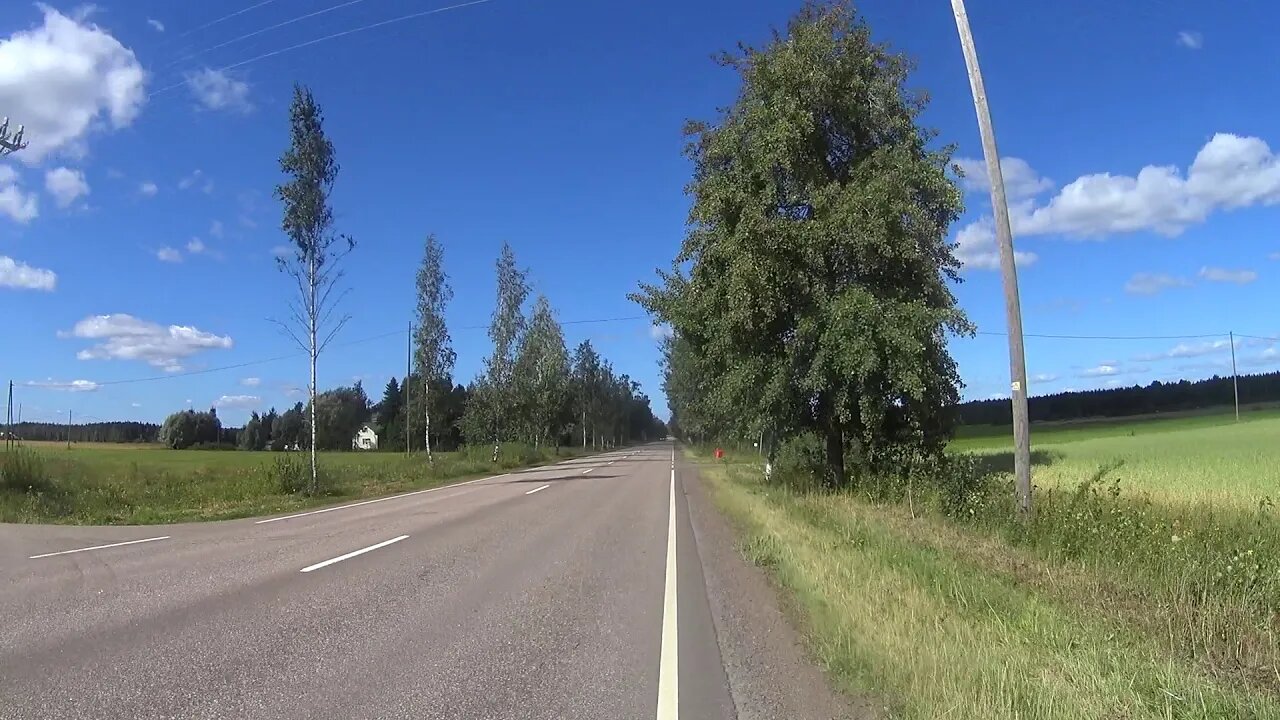 "Birch straight" at Koria
