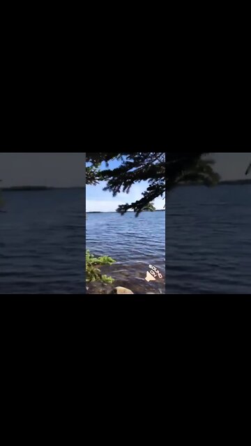 Beautiful campsite in Porters Lake Nova Scotia