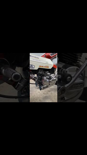 #shorts #2022 funny,prank,funjokes,dad jokes,funny memes,funny video,fun,laughing,funny animal,knock