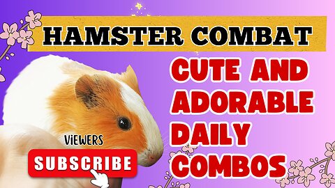 Fun Action! Hamster Combat: Cute and Adorable Daily Combos 🐹