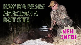 Surprising info on how big bears approach a bait site!