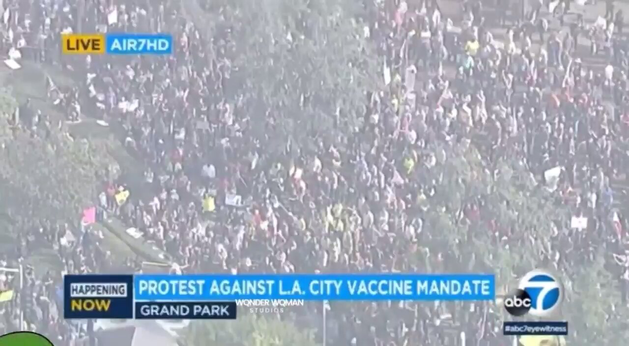 Patriots in Los Angeles