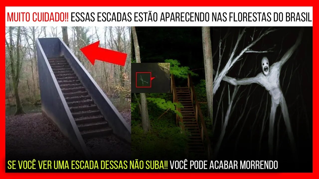 Misteriosas escadas estão aparecendo na floresta e o que está por trás é de arrepiar