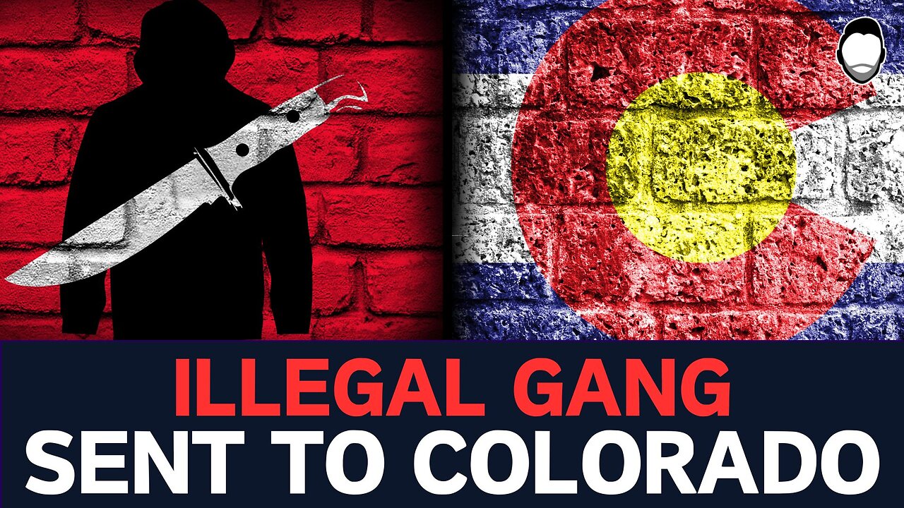 Colorado HAS FALLEN to Illegal Gangs Sent by "Someone"