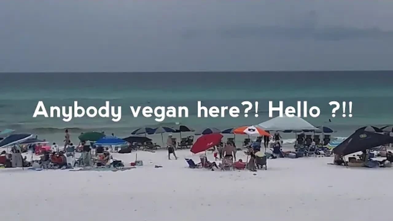 Delightful Beach Day For A Vegan :)