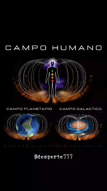 Os campos sutis do corpo humano tem a mesma forma do da terra e universo?
