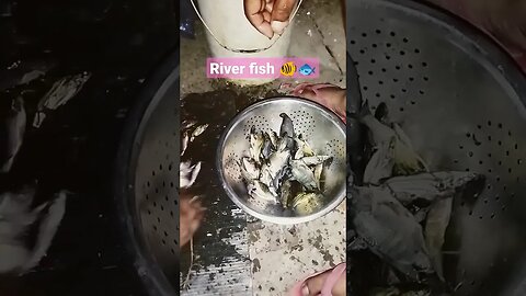 River fish 🐟 #viral #fish #shorts