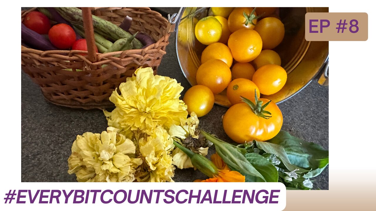 Every Bit counts Ep 8 #everybitcountschallenge