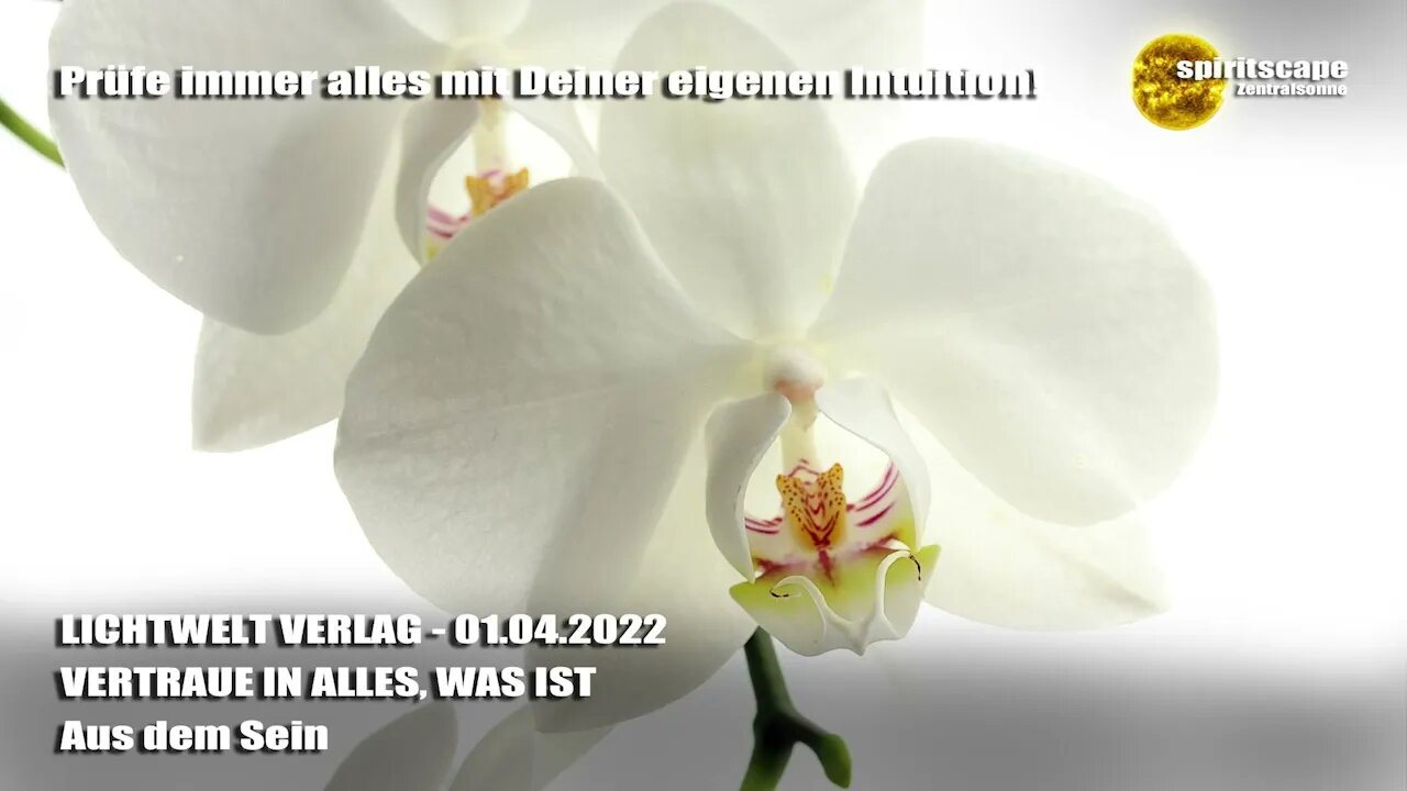 VERTRAUE IN ALLES, WAS IST - Aus dem Sein - LWV