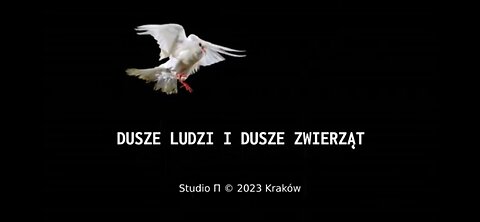 20230223_dusze_ludzi_i_dusze_zwierząt_komentarz_do_filmu