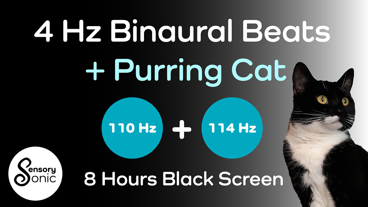 4 Hz Binaural Beats With a Cat's Purr | Meditate | Relax | Fall Asleep | 8 hrs Black Screen