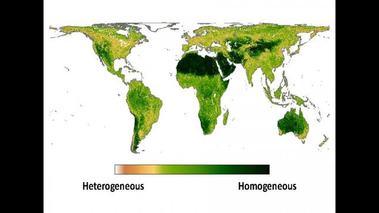 Homogeneous indigenous ethnostates > heterogeneous settler colonies