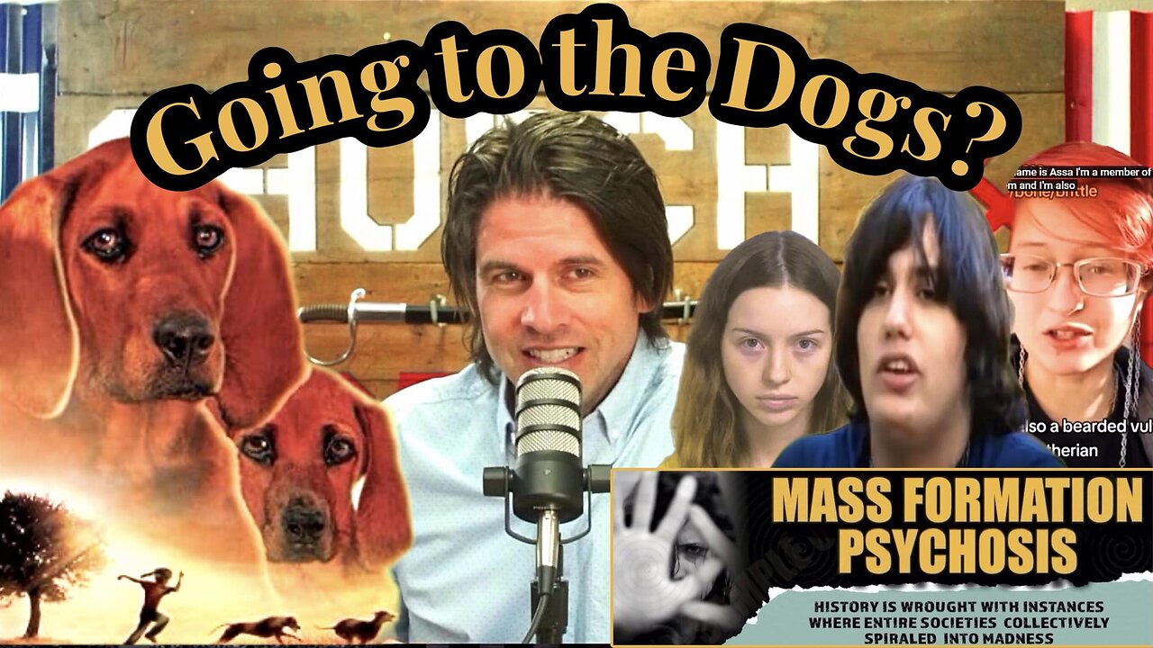 Going to the Dogs? | Church and State