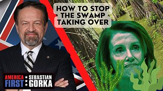 How to stop the Swamp taking over. Rep-elect Brandon Gill with Sebastian Gorka