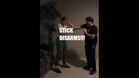 DISARMING AN ATTACKER WITH A STICK