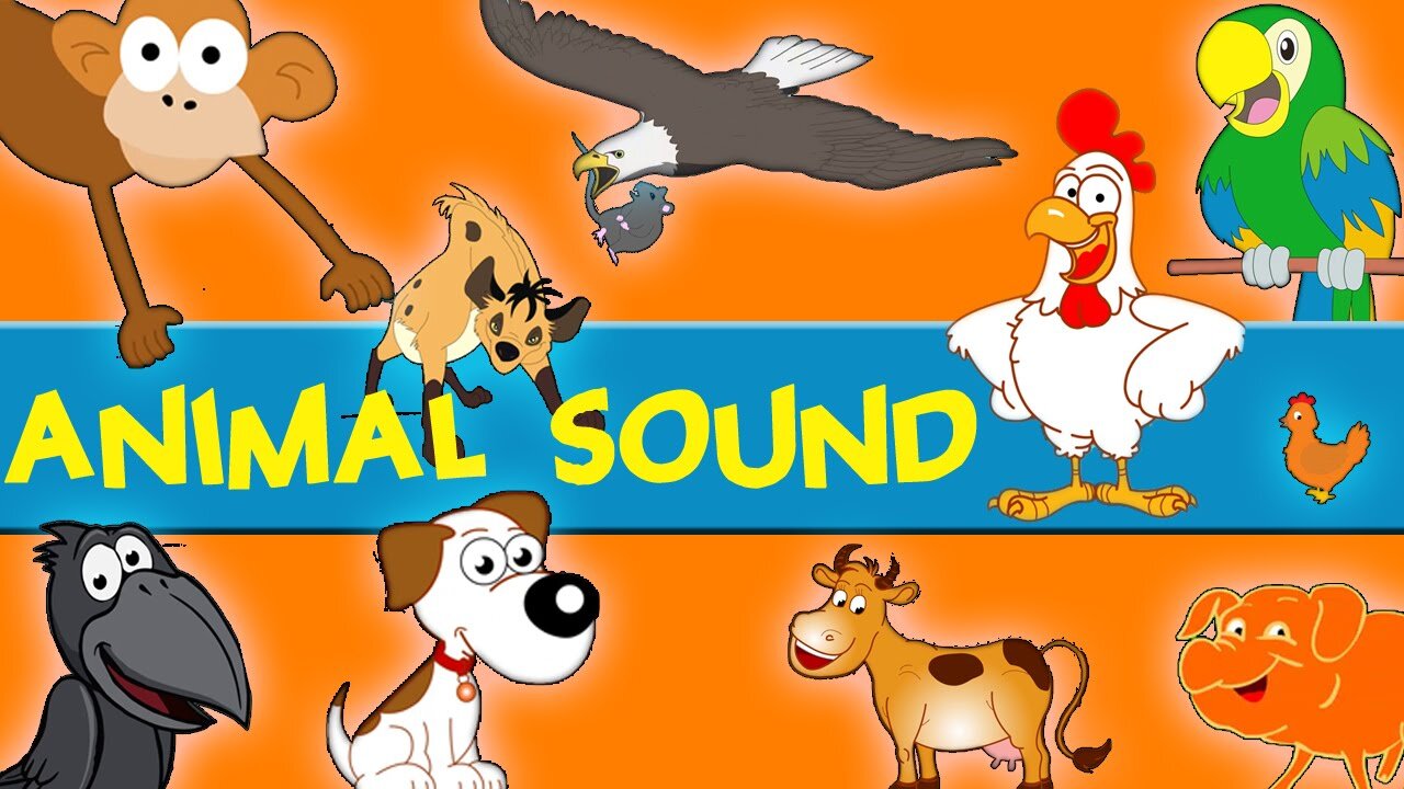 Animals Sounds & Baby Names Animal Names for Kids Educational Videos For Kids