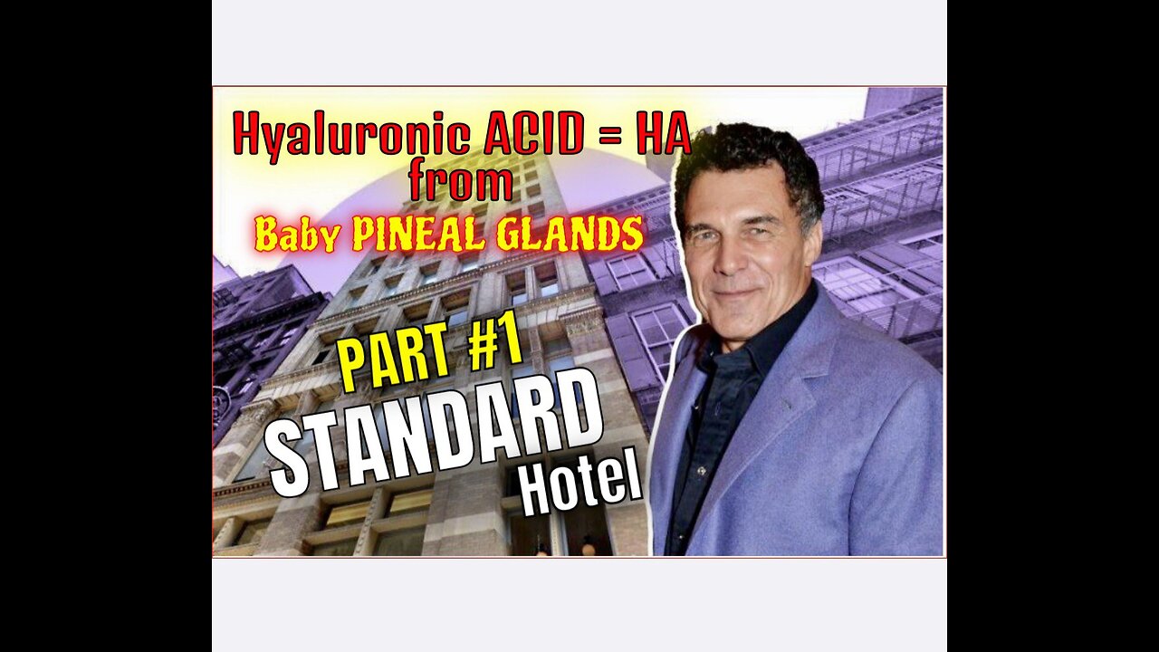 PART #1: WTF Actually Happened at the STANDARD HOTEL?